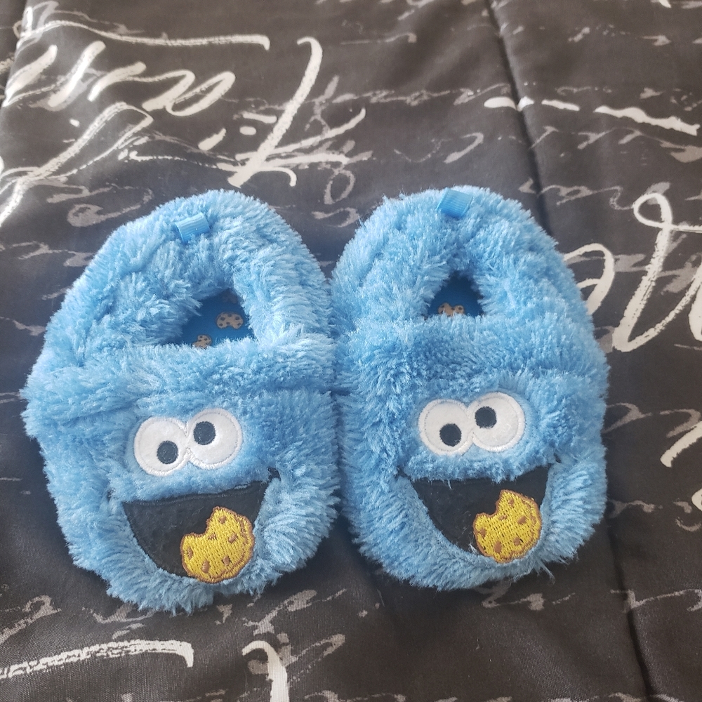 Cookie moster slipers